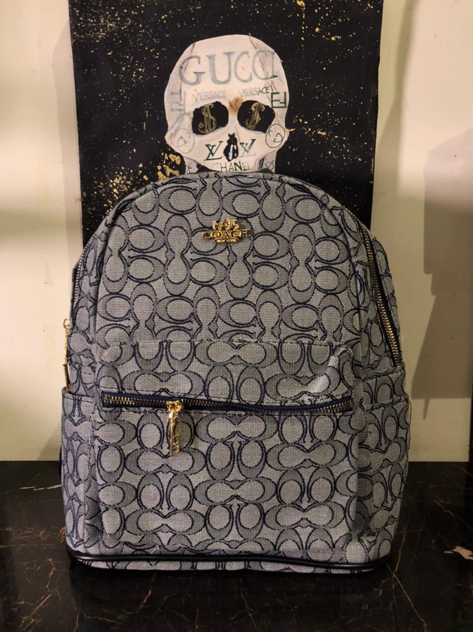 Coach Signature Backpack Monogram Gray